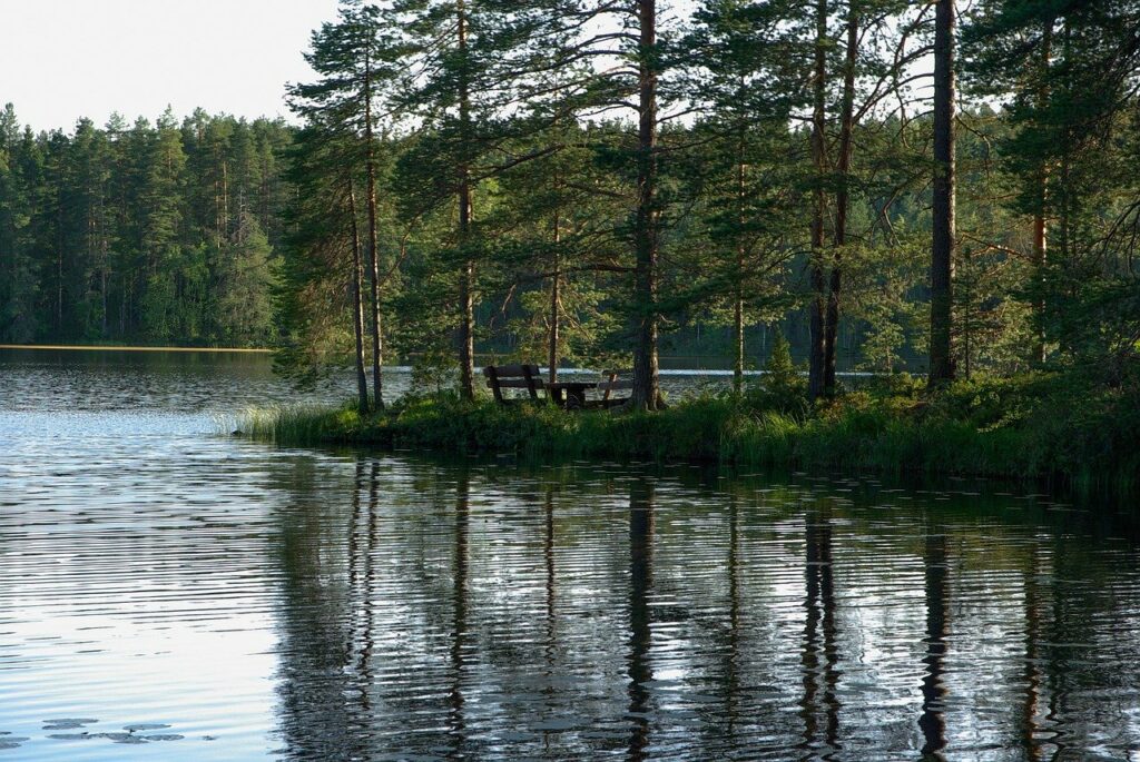 finland, lake, fir-907408.jpg